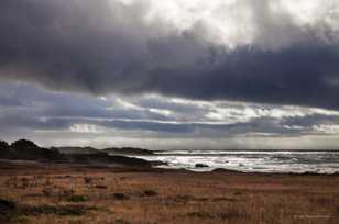 Pescadero Point-1764.jpg Pescadero Point-1764.jpg
